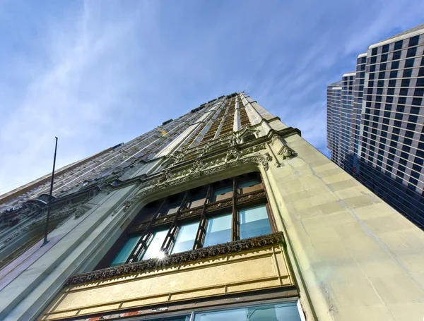 Woolworth Building - Nova Iorque — Fotografia de Stock