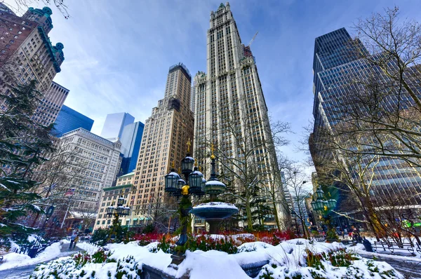 Woolworth Building - New York — Stock Photo, Image