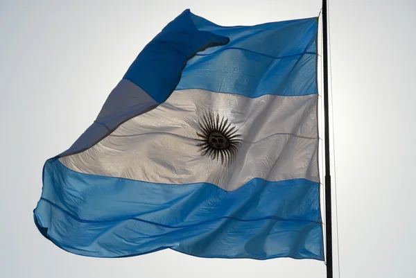 Argentinean Flag — Stock Photo, Image