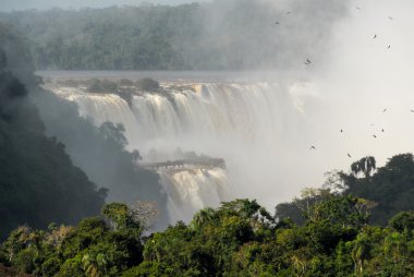 Iguassu Falls - Arjantin