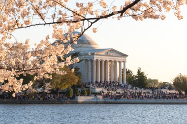 Cherry Blossom Festivali - Washington, DC.