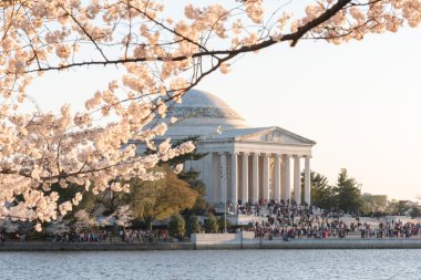 Cherry Blossom Festivali - Washington, DC.