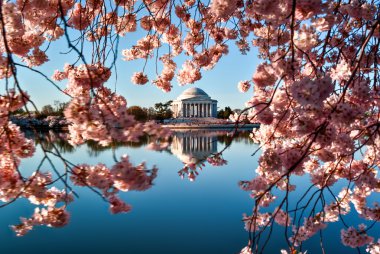 Jefferson Memorial - Washington DC.