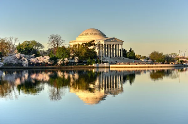 Jefferson Memorial - Washington D.C. . —  Fotos de Stock