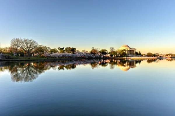 Jefferson 纪念馆-华盛顿特区. — 图库照片