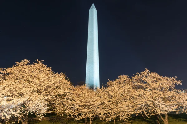 Washington-emlékmű éjjel — Stock Fotó