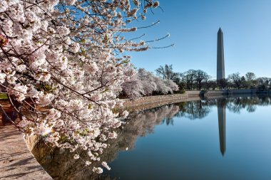 Washington Anıtı