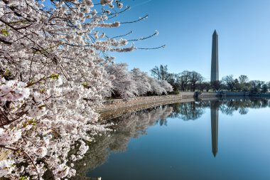 Washington Anıtı