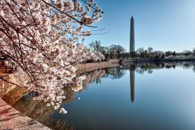 Washington Anıtı