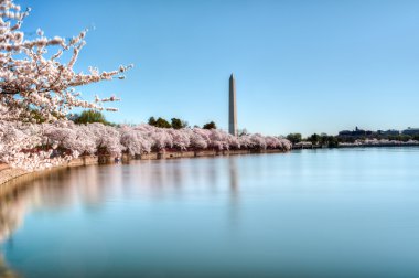 Washington Anıtı