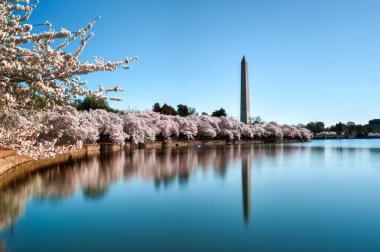 Washington Anıtı