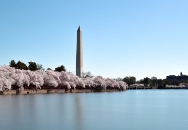 Washington Anıtı