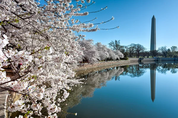 Monumento a Washington — Fotografia de Stock