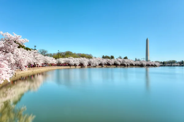 Monumento a Washington —  Fotos de Stock