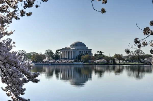 Jefferson Memorial - Washington D.C. . — Fotografia de Stock