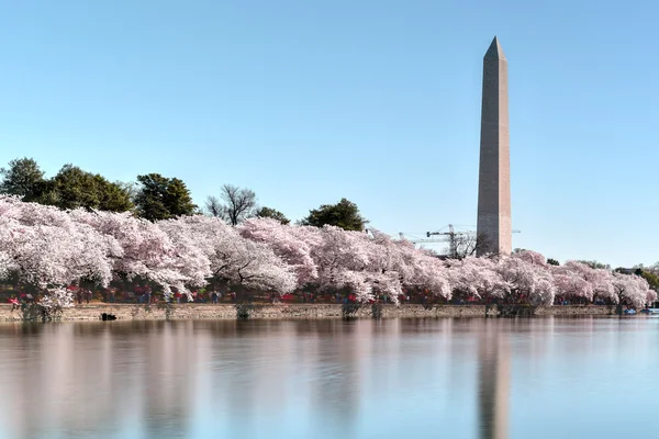 Monumento a Washington — Fotografia de Stock