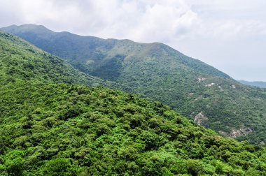 Ngong Ping teleferiği, Hong Kong.
