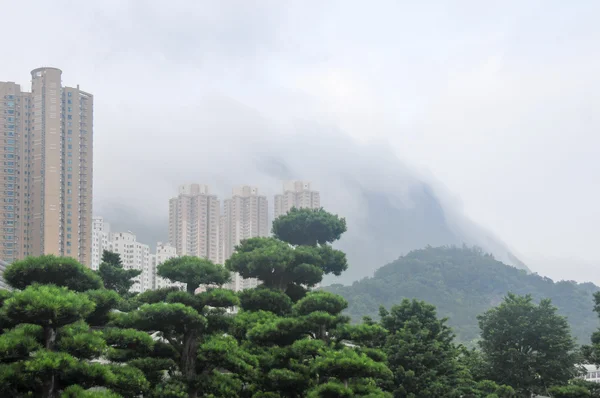 Sha Tin Central Park — Zdjęcie stockowe