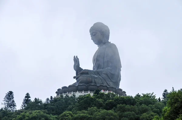 田晒佛的香港 — 图库照片