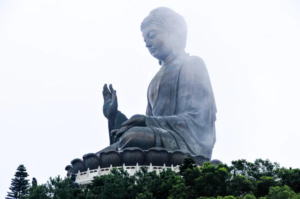 田晒佛的香港 — 图库照片