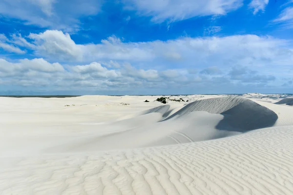 Witte zandduinen van nilgen natuurreservaat — Stockfoto