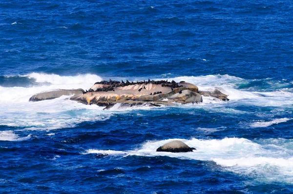 False bay - kapstadt, südafrika — Stockfoto