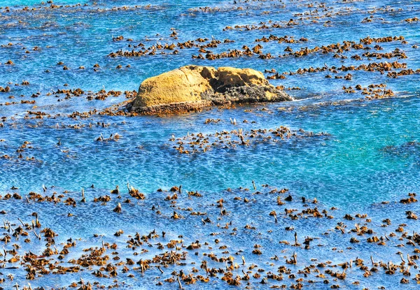 Cape Town, South Africa Coast — Stock Photo, Image