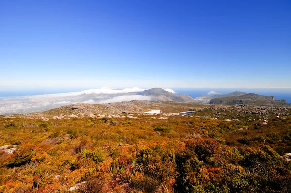 Table Mountain in Cape Town — Stock Photo, Image