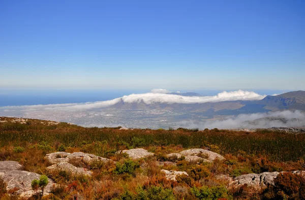 Mesa de montaña en la ciudad del cabo — Foto de Stock