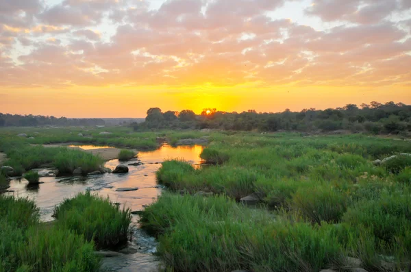 Salida del sol en el Parque Nacional Kruger — Foto de Stock