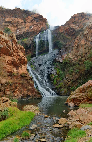 Walter Sisulu nationale botanische tuin — Stockfoto