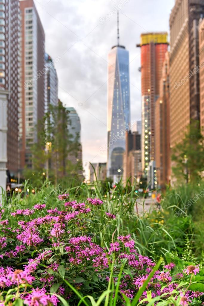 View of World Trade Center