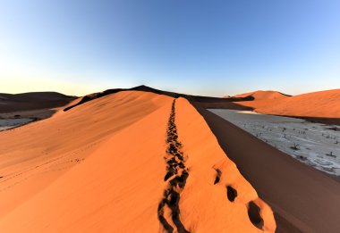 SOSSUSVLEI, Namibië