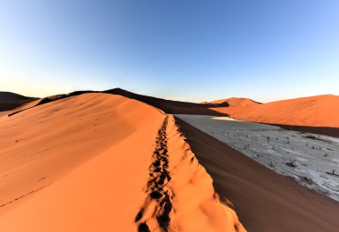 SOSSUSVLEI, Namibië