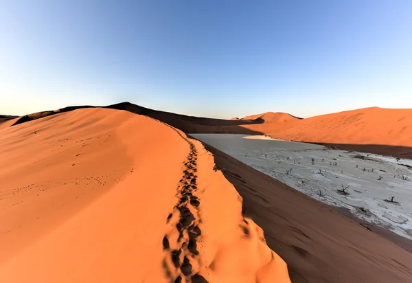 Sossusvlei, Namíbia — Stock Fotó