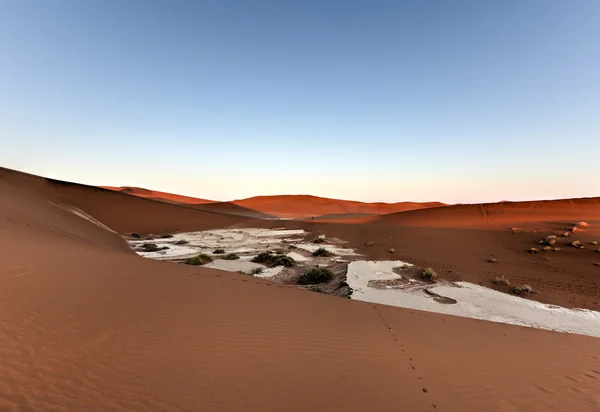 Sossusvlei, Namíbia — Stock Fotó