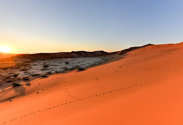 SOSSUSVLEI, Namibië — Stockfoto