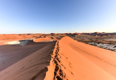 SOSSUSVLEI, Namibië