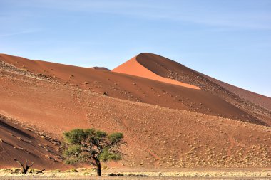 Namib Çölü, Namibya
