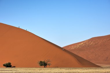 Namib Çölü, Namibya