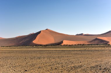 Namib Çölü, Namibya