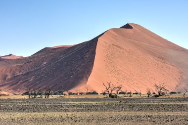 Namib Çölü, Namibya