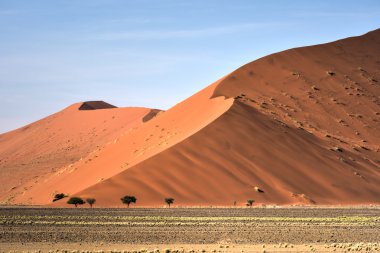 Namib Çölü, Namibya