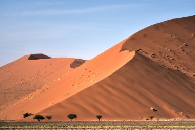 Namib Çölü, Namibya