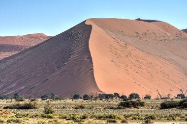 Namib Çölü, Namibya