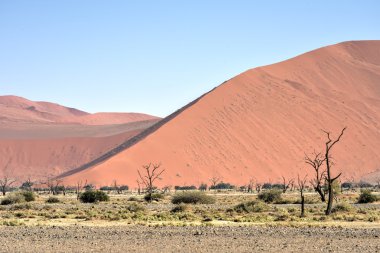 Namib Çölü, Namibya