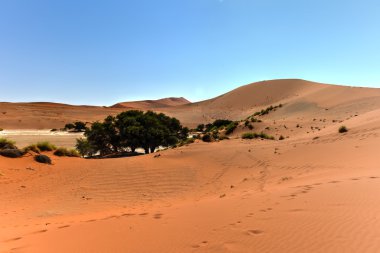 SOSSUSVLEI, Namibië