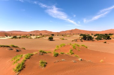 SOSSUSVLEI, Namibië