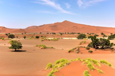 SOSSUSVLEI, Namibië
