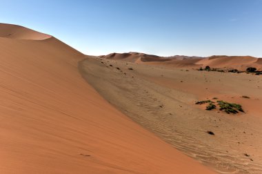 SOSSUSVLEI, Namibië